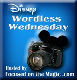 Focused on the Magic Wordless Wednesday